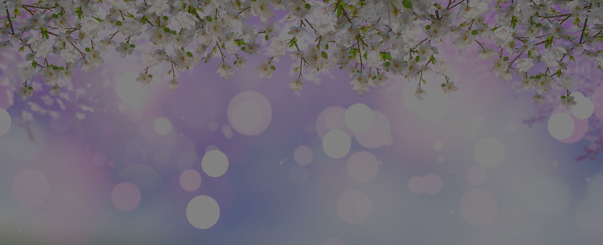 slider_melianie_besant